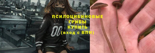 дурь Коряжма