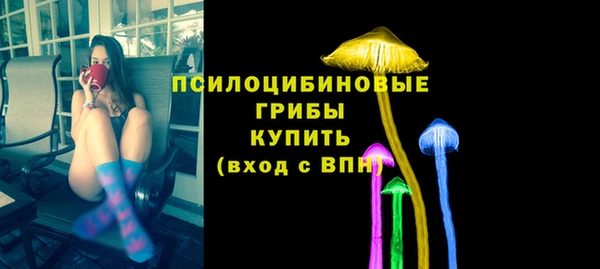 дурь Коряжма