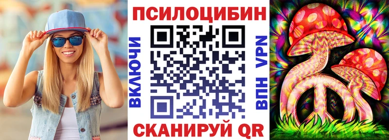 Купить  Иланский  Псилоцибиновые грибы мицелий 